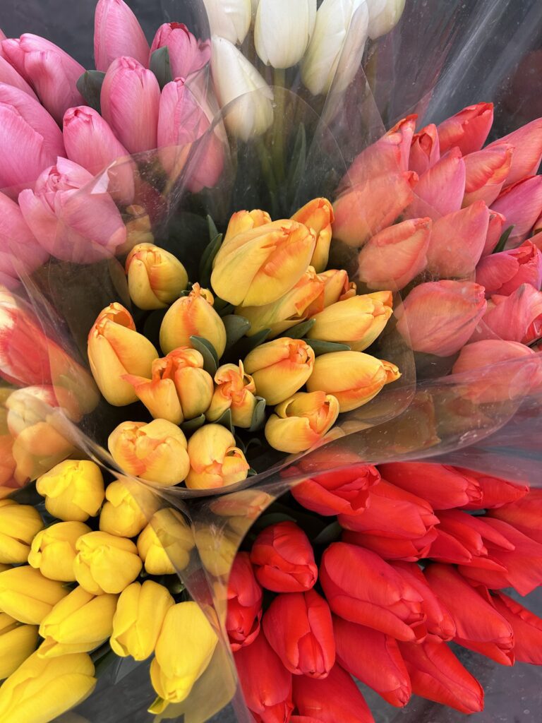 An overhead shot of several packages of tulips in varying colors such as pinks, reds, oranges, and yellows used for Spring decor and Spring inspiration 