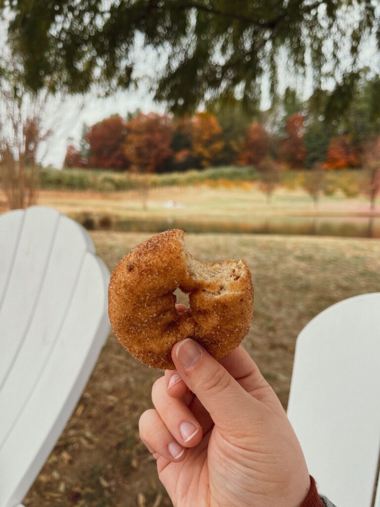 You’ll love These 21 Delectable and Stress-Free Thanksgiving Breakfast Ideas