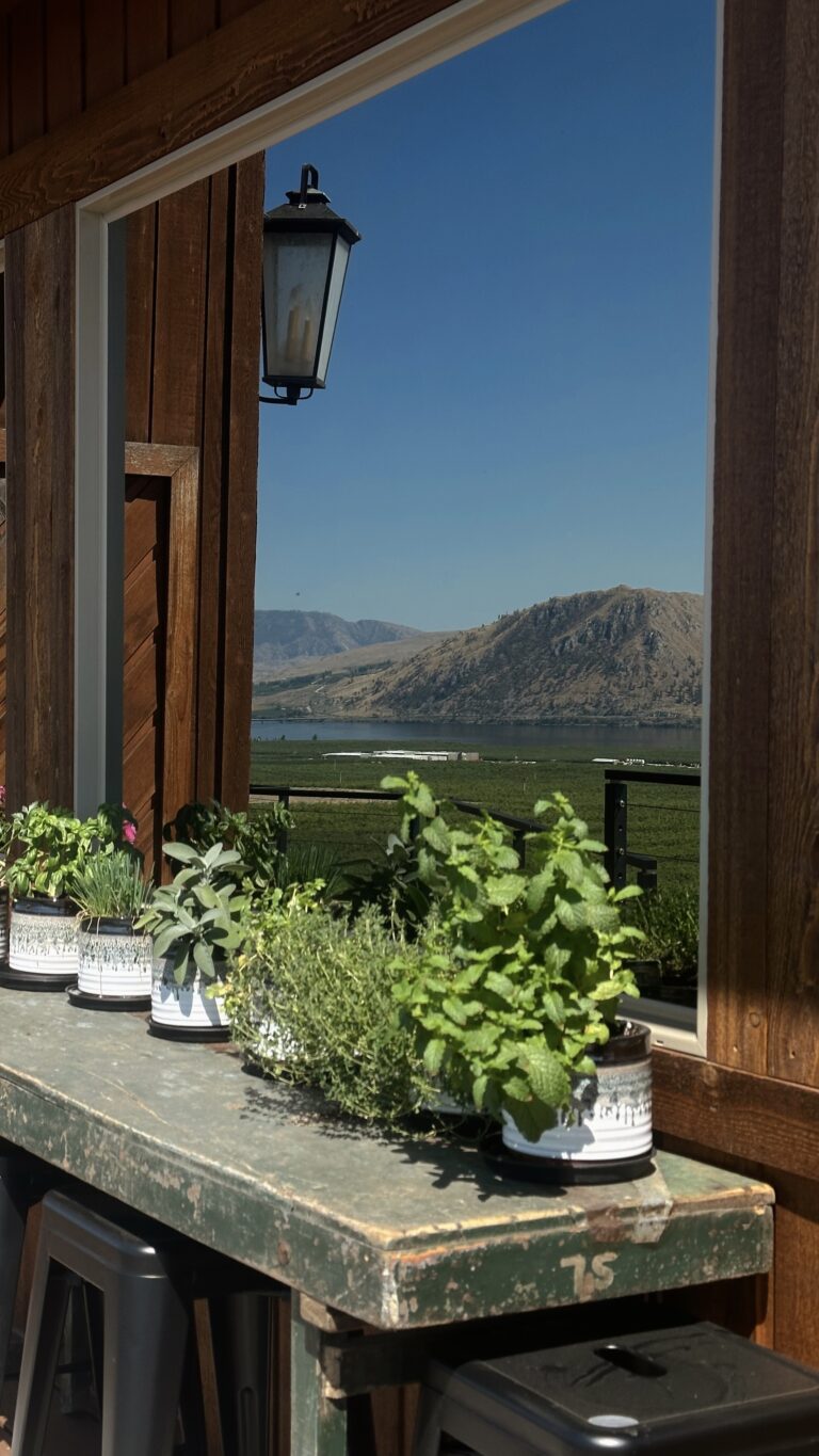 Upgrade Kitchen Spring Cleaning 6 Easy and Unexpected Ways